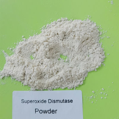 食品等級の原料のスーパーオキシドのディスムターゼはPH 4-11を粉にする