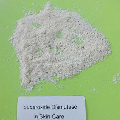 化粧品の微生物発酵のスーパーオキシドのディスムターゼ9054-89-1