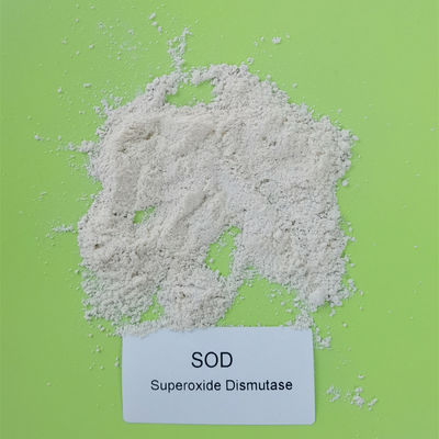 試金50000iu/gの食料生産免許証の芝地のスーパーオキシドのディスムターゼの粉